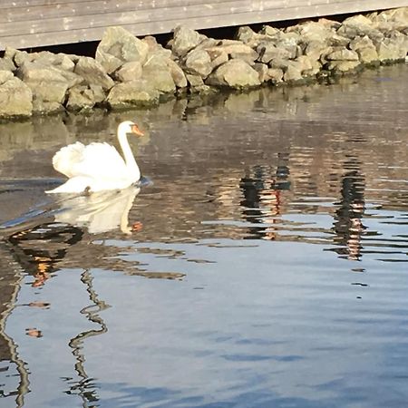 City Center Oslo- Venice Apartment Sea Side Three-Bedrooms And Two Toilettes エクステリア 写真