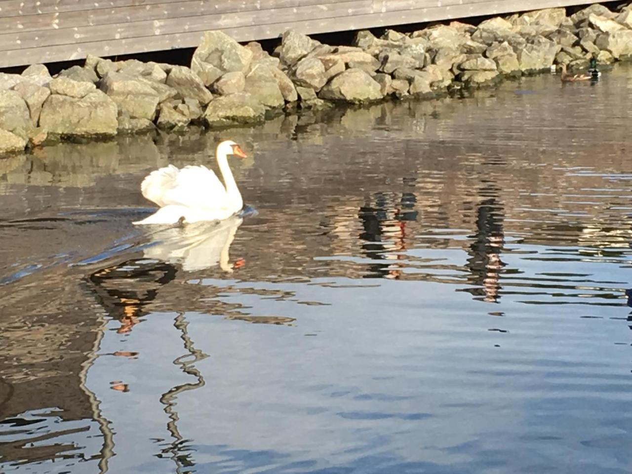 City Center Oslo- Venice Apartment Sea Side Three-Bedrooms And Two Toilettes エクステリア 写真